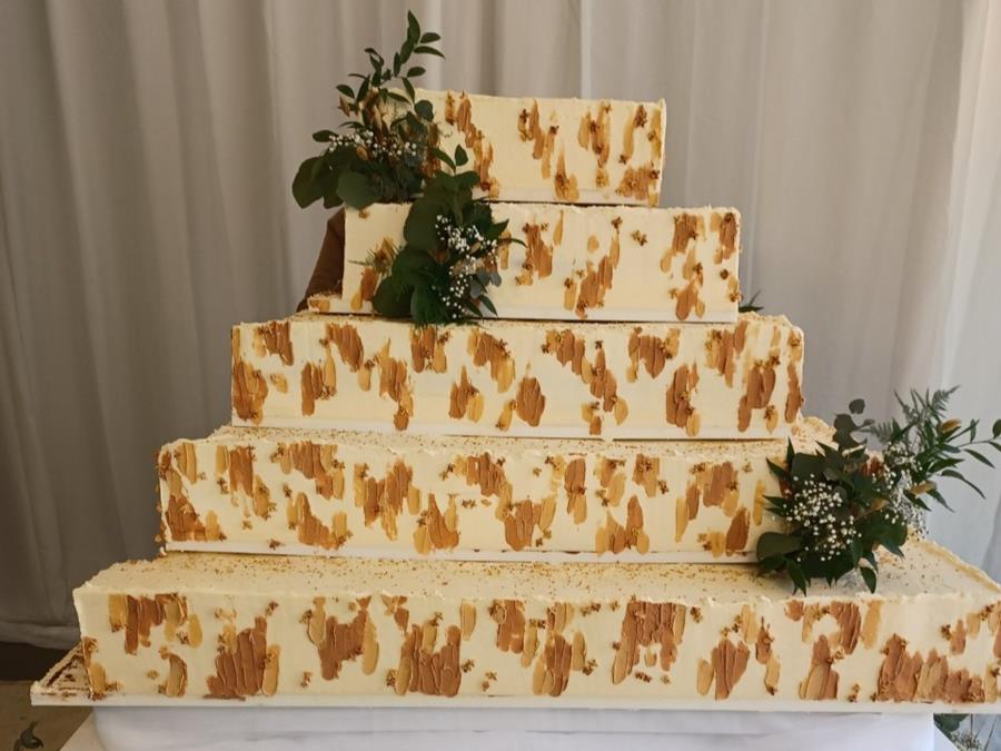 Ter Groene Poorte breekt wereldrecord vegan cake