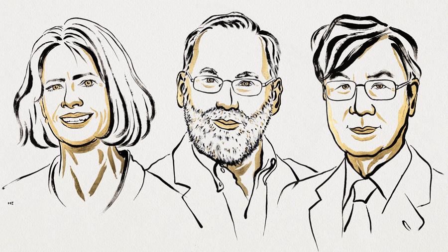 Nobelprijs: Perifere immuuntolerantie ontrafeld