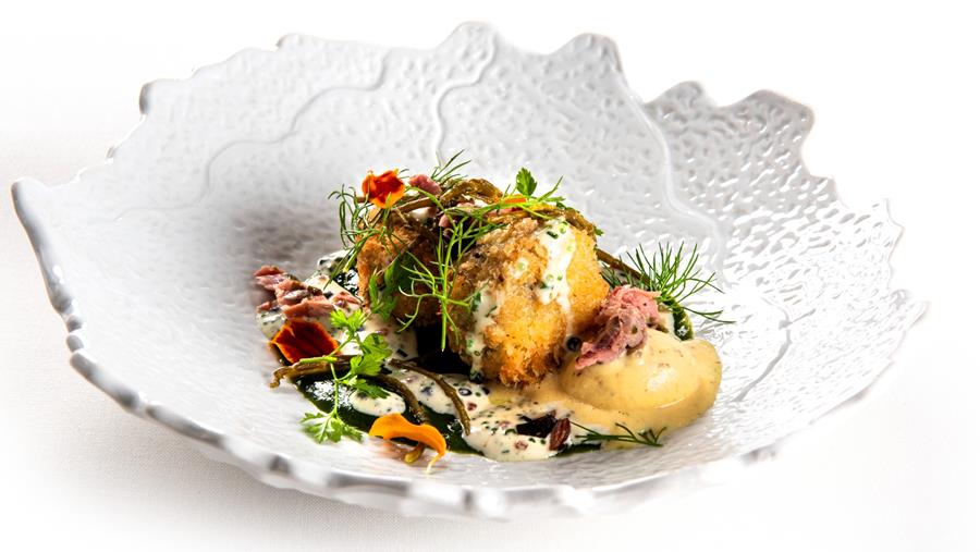 De veelzijdigheid van het Imperial hammetje