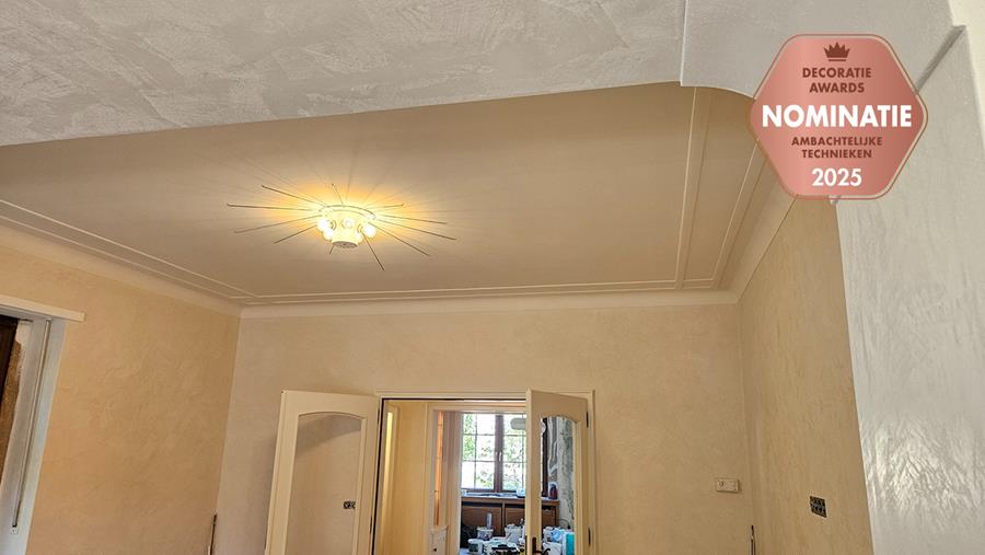 Venetiaanse pleister brengt elegantie en diepte