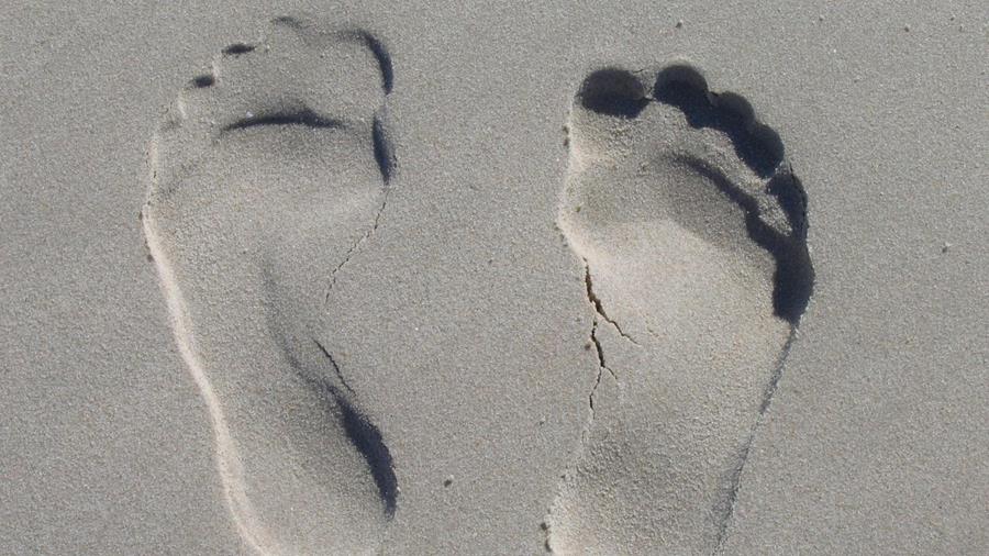 ePS, Esko en CarbonQuota werken samen aan automatische CO2-rapportering