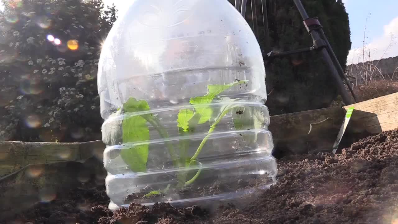 TIP VAN DE WEEK: PETFLES ALS MINI-SERRE